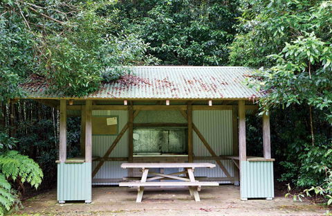 Coachwood Picnic Area - Tourism Brisbane 0