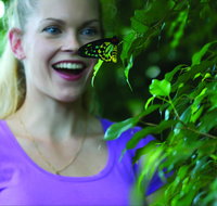 Coffs Harbour Butterfly House - Tourism Brisbane