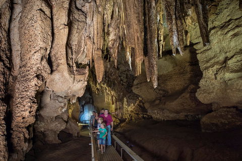 Cutta Cutta Caves Nature Park - Tourism Brisbane 0