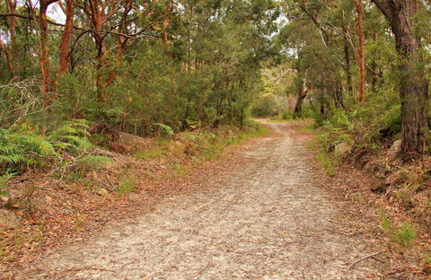 Daleys Point Walking Track - Tourism Brisbane 0