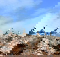 Dirk Hartog Island National Park - Tourism Brisbane
