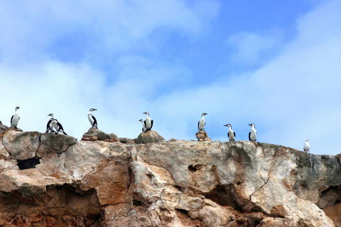 Dirk Hartog Island National Park - Tourism Brisbane 0