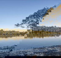 Double Wharf picnic area - Tourism Brisbane