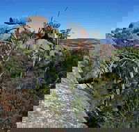Evans Crown Nature Reserve - Tourism Brisbane