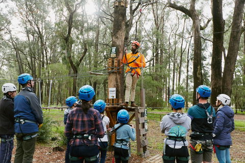 Forest Adventures South West - Tourism Brisbane 0