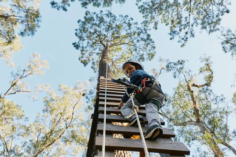 Forest Adventures South West - Tourism Brisbane 1