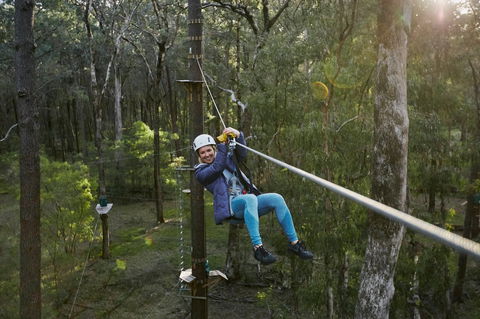 Forest Adventures South West - Tourism Brisbane 2