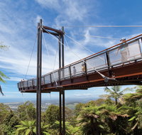 Forest Sky Pier Sealy Lookout - Tourism Brisbane