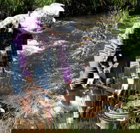 Fossicking - Tourism Brisbane