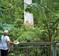 Grandis Picnic Area - Tourism Brisbane