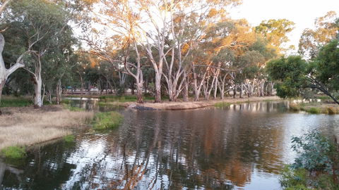 Green Corridor Walking Track - Brisbane Tourism 1