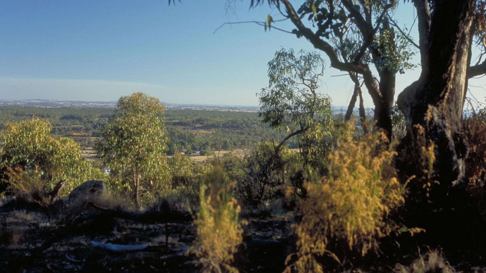 Archdale Junction VIC Brisbane 4u