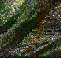 Hidden Treasure Track - Tourism Brisbane