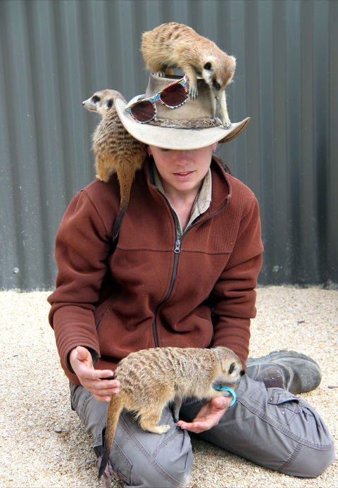 Hunter Valley Zoo - Tourism Brisbane 2