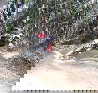 Jolly Nose Mountain Bike Park - Brisbane Tourism