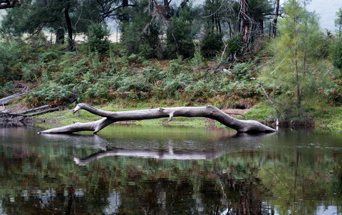 Kayaking Upper Tuross River And Bumbo Lake - Brisbane Tourism 0