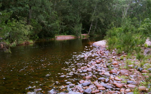 Kayaking Upper Tuross River And Bumbo Lake - Brisbane Tourism 1