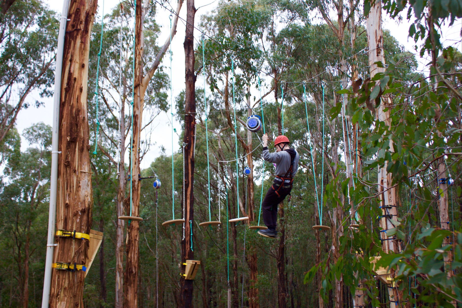 Kinglake West VIC Brisbane Tourism