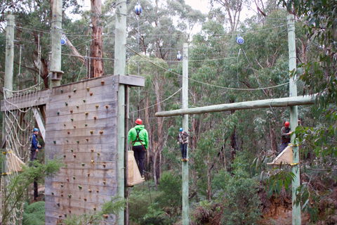 Kinglake Forest Adventures - Tourism Brisbane 1