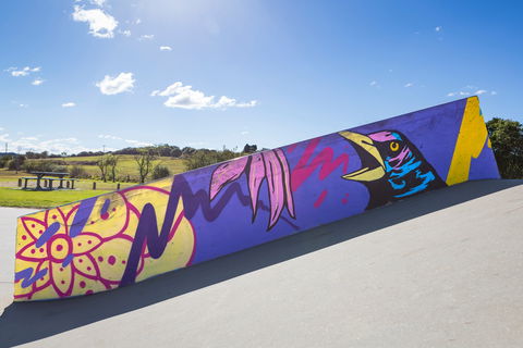 Kirkham Skate Park - Tourism Brisbane 1