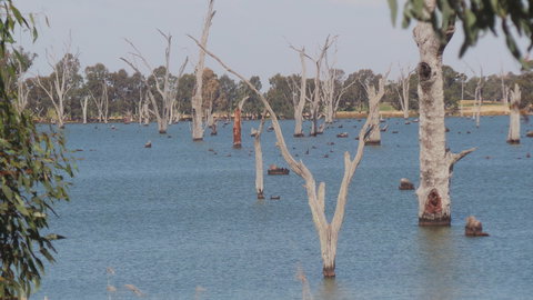 Lake Mulwala - Brisbane Tourism 2