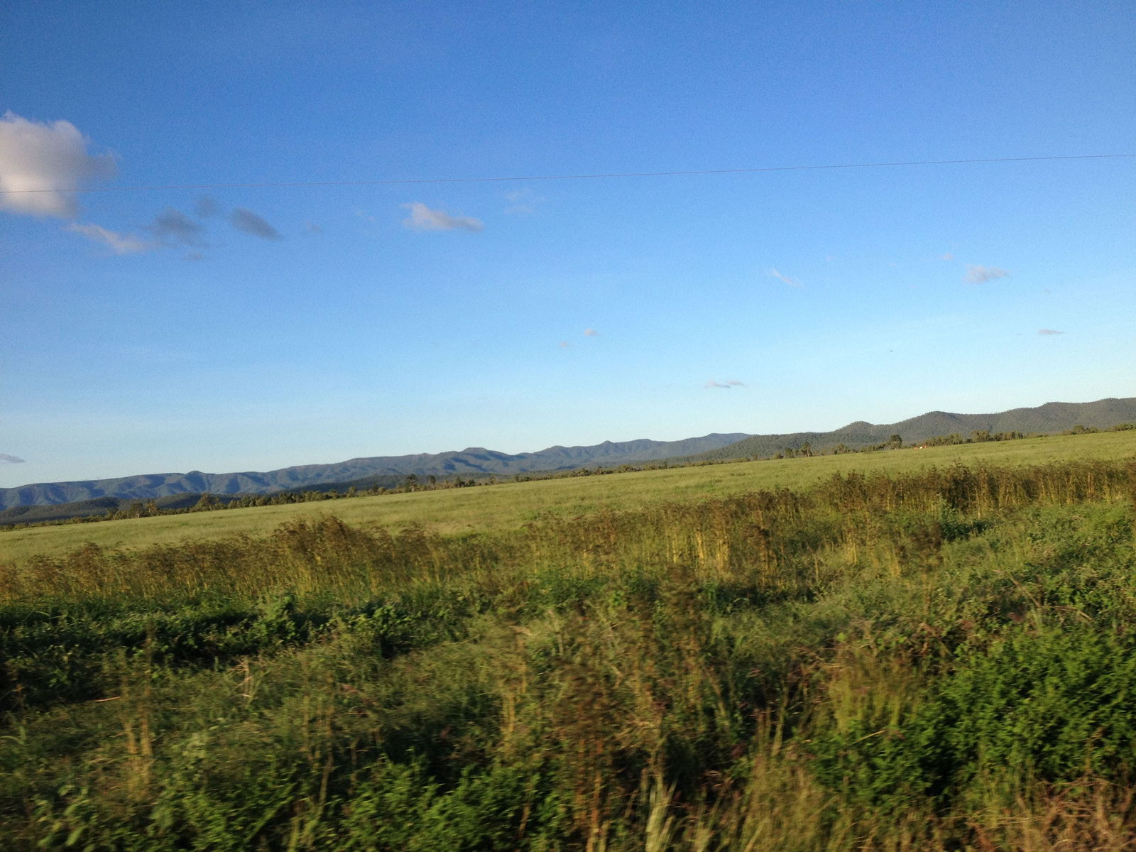 Lakeland QLD Brisbane Tourism