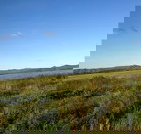 Lakeland - Brisbane Tourism