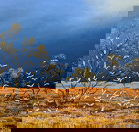 Lyn Barnes Gallery - Tourism Brisbane