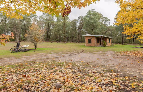 Major Clews Hut Walking Track - Tourism Brisbane 0