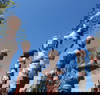 Mansfield Arts Walk - Tourism Brisbane