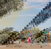 Marrambidya Wetland - Brisbane Tourism