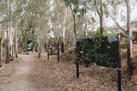 Marrambidya Wetland - Tourism Brisbane 2