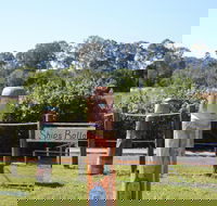 Maryboroughs Bollards - Brisbane Tourism
