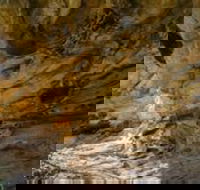 Marramarra National Park - Tourism Brisbane