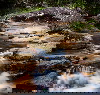 Mothar Mountain Rockpools - Tourism Brisbane