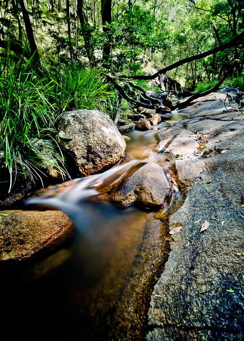 Mothar Mountain Rockpools - Brisbane Tourism 1