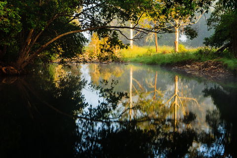 Mothar Mountain Rockpools - Brisbane Tourism 2