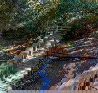 Ms Kellys Walking Track - Brisbane Tourism