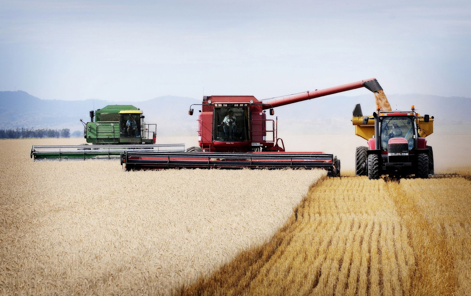 Nombi ACT Tourism Brisbane