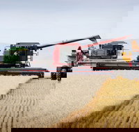 Mullaley - Tourism Brisbane