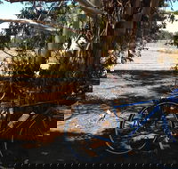 Murchison Rail Trail - Tourism Brisbane