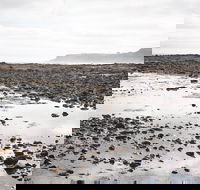 Mushroom Reef Beach - Tourism Brisbane