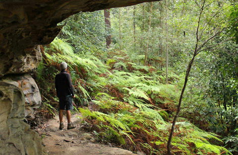 Old Great North Road Bike Ride - Brisbane Tourism 0