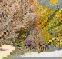 Old Great North Road - World Heritage Walk - Brisbane Tourism