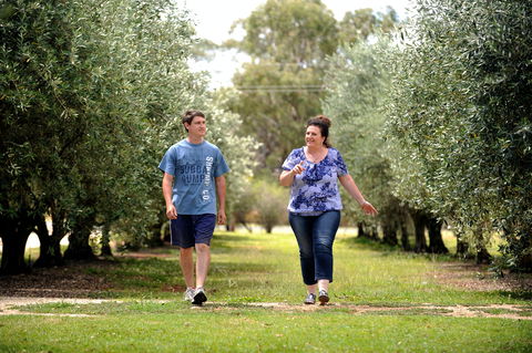 Olives Of Beaulieu - Tourism Brisbane 0