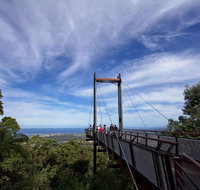 Orara East State Forest - Tourism Brisbane