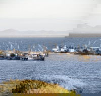 Portarlington - Tourism Brisbane