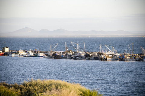 Portarlington - Tourism Brisbane 0