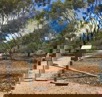 Powell Gardens - Tourism Brisbane