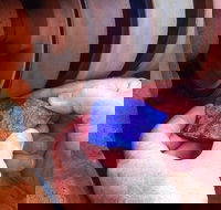 Quilpie Opal Fossicking - Tourism Brisbane